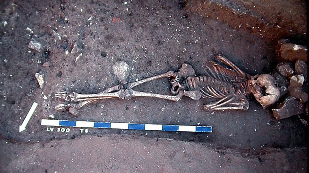 (Credit: Cambridgeshire County Council)