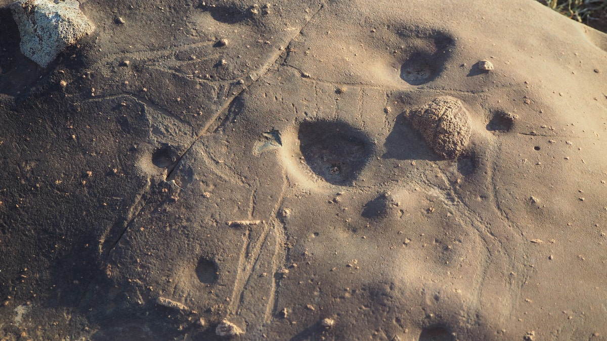 A rock carving of an antelope discovered at the site.