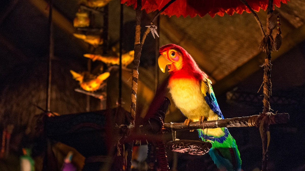 An image of a mechanical bird at Walt Disney’s Enchanted Tiki Room in Disney World. 