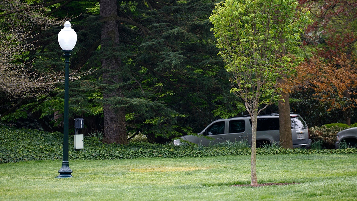 This Saturday, April 28, 2018, photo shows an empty area where a tree was planted by U.S. President Donald Trump and French President Emmanuel Macron during a tree planting ceremony on the South Lawn of the White House in Washington. (AP Photo/Carolyn Kaster)