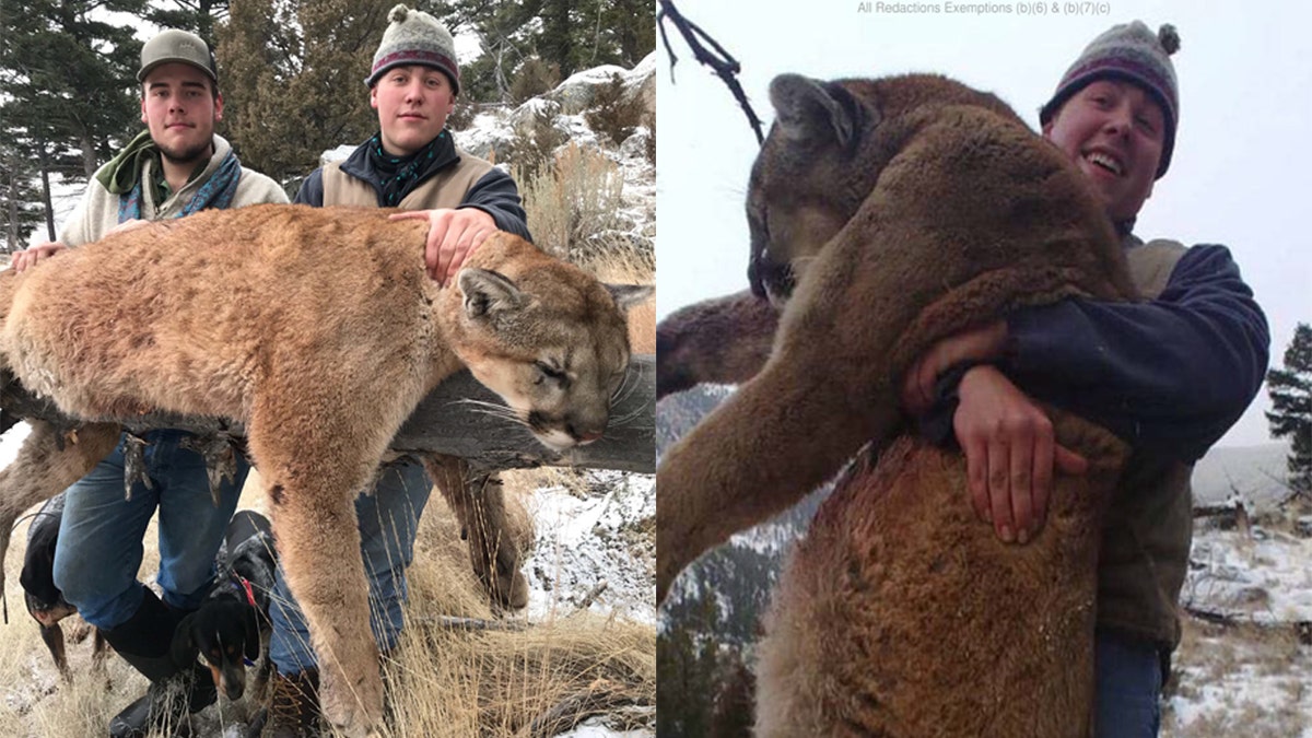 A trail of photos on social media depicting the illegal kill of a mountain led authorities to convict three hunters from Montana.