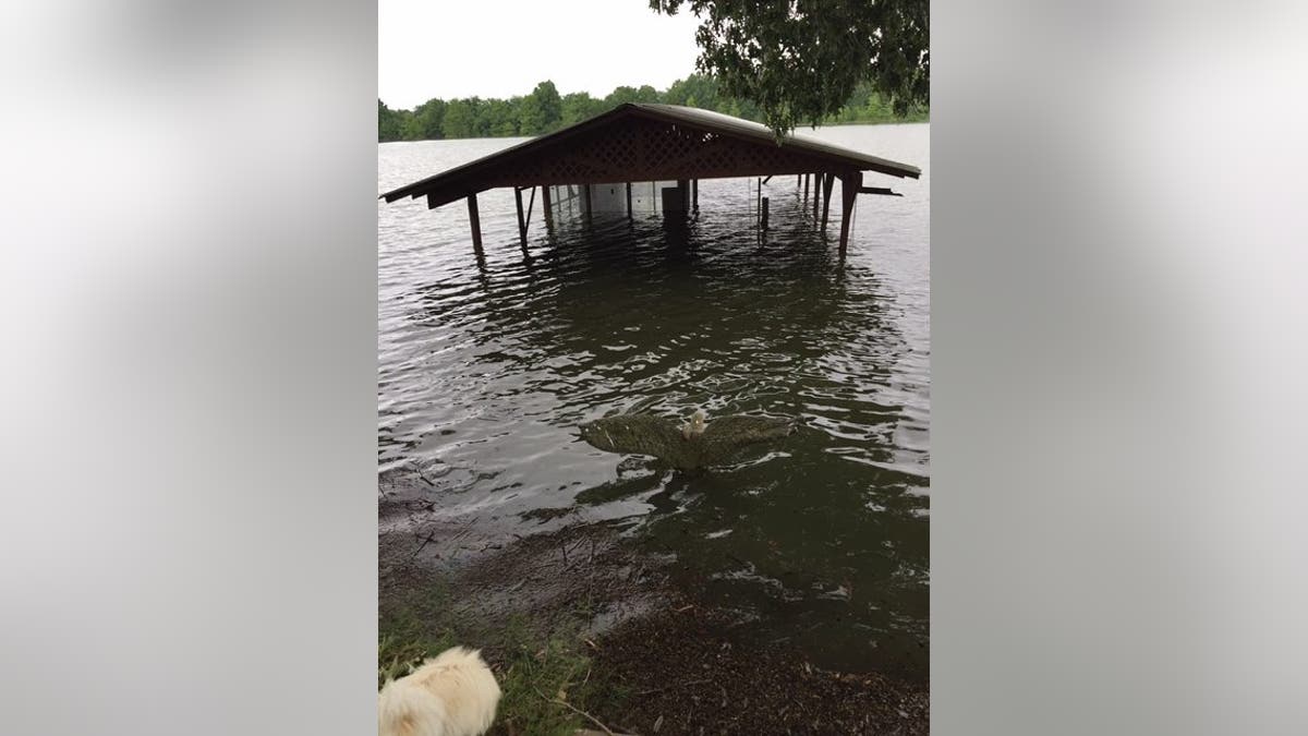 Much of Willow Beach is already flooded.