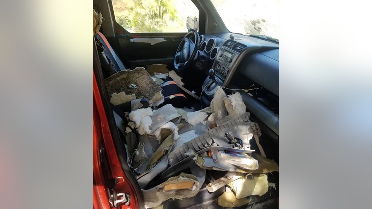 The vehicle was "a total loss" after the bear tore up the interior, relieved itself and spit inside, police said.