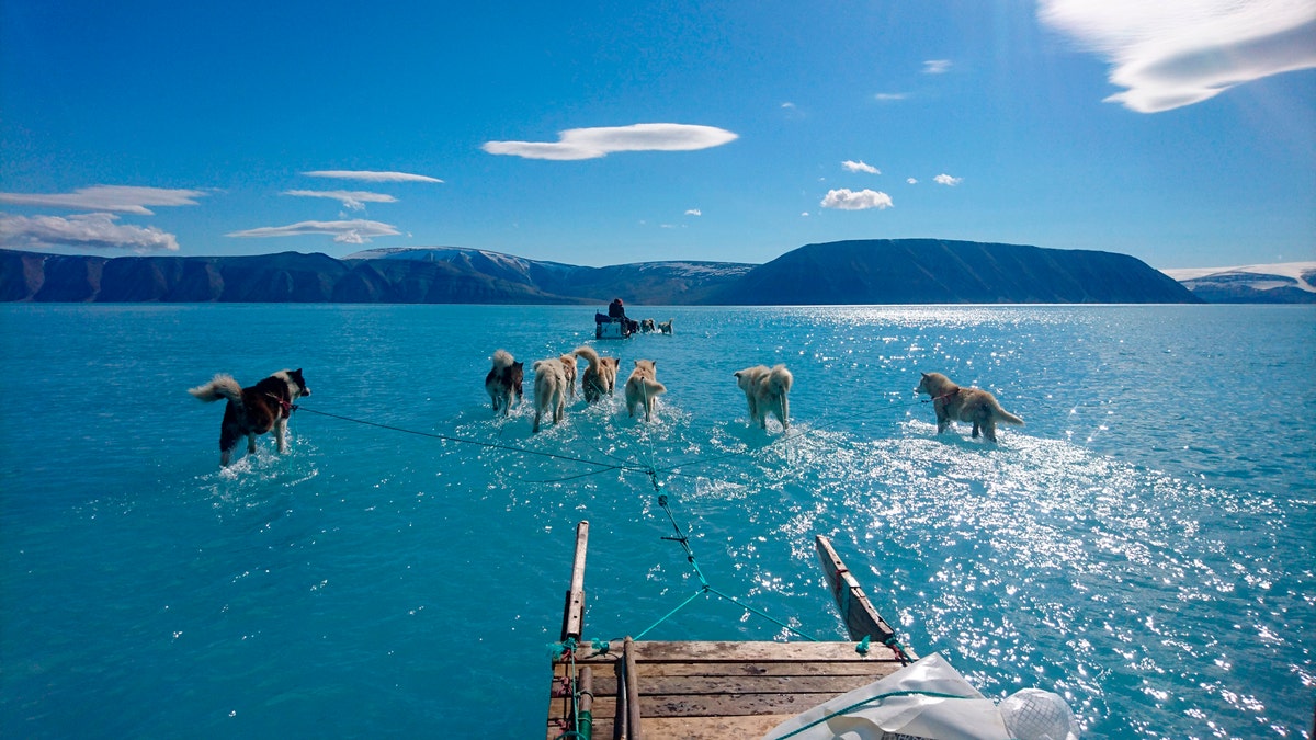 In this photo taken on Thursday, June 13, 2019 sled dogs make their way in northwest Greenland with their paws in melted ice water. Diplomats and climate experts gathered Monday in Germany for U.N.-hosted talks on climate change amid growing public pressure for governments to act faster against global warming. Over the weekend, a picture taken by Danish climate researchers showing sled dogs on the ice in northwest Greenland with their paws in melted ice water was widely shared on social media. Greenland’s ice melting season normally runs from June to August but the Danish Meteorological Institute said this year's melting started on April 30, the second-earliest time on record going back to 1980. (Danmarks Meteorologiske Institut/Steffen M. Olsen via AP)