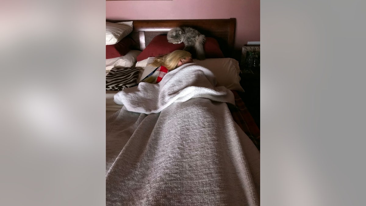 Incredibly, the new Cinnabun sleeps in exactly the same spot that the original Cinnabun used to slumber, on top of Ashley’s pillow.