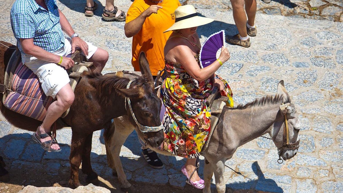 PETA is now accusing government officials of “blocking” their transportation campaign on buses and taxes, featuring the slogan “Donkeys Suffer for Tourists. Please Don’t Ride Them.”