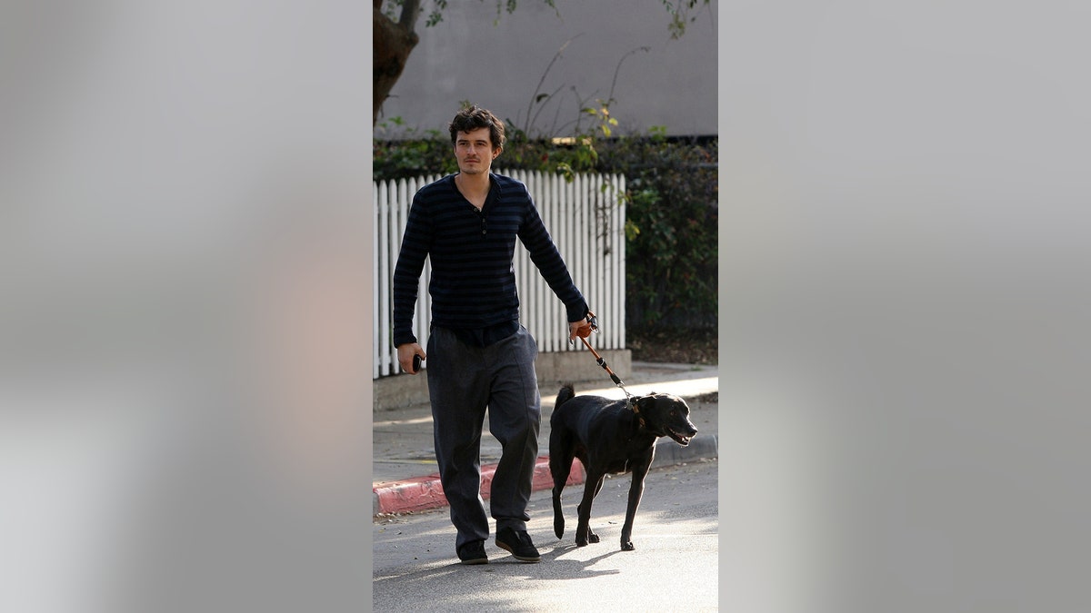 Orlando Bloom walks his dog, Sidi, on December 02, 2010 in Los Angeles