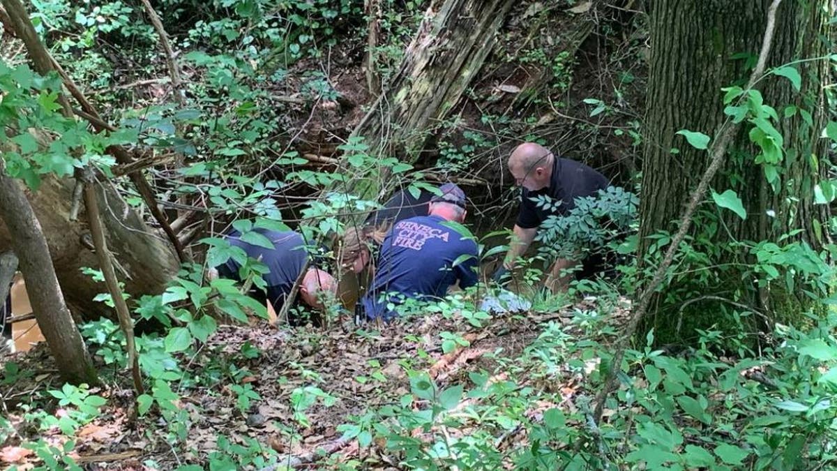 A woman’s head and torso were found in a creek in northwestern South Carolina right before the search was called off, police said.