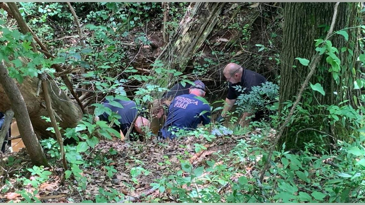 A woman’s head and torso were found in a creek in northwestern South Carolina right before the search was called off, police said.