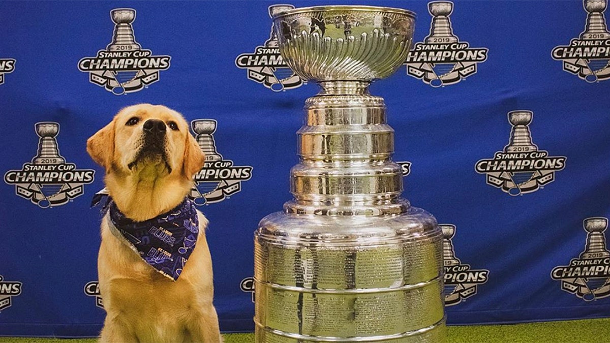theScore - St. Louis Blues' pup Barclay got his Stanley