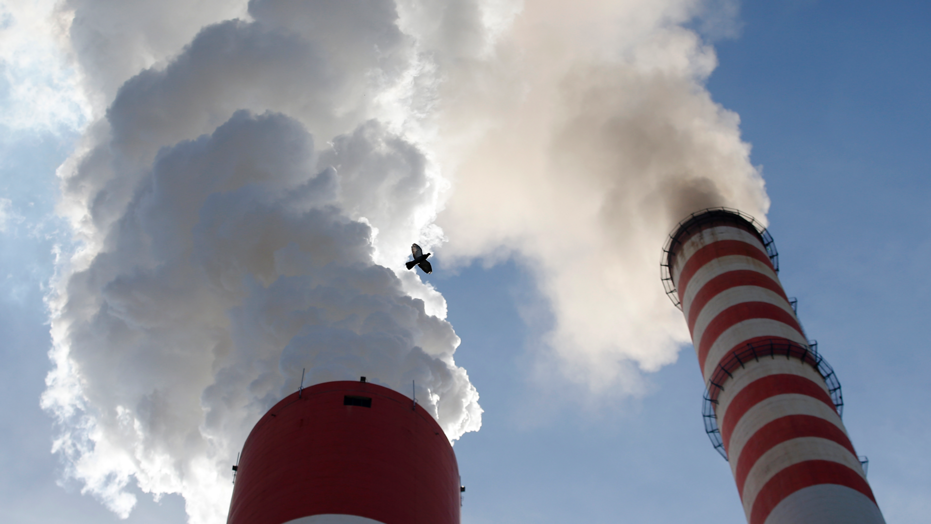 FILE - In this Wednesday, Oct. 3, 2018 file photo, a bird flies past as smoke emits from the chimneys of Serbia's main coal-fired power station near Kostolac, Serbia.  (AP Photo/Darko Vojinovic, File)