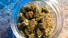 Kentucky medical marijuana team led by Gov. Andy Beshear to have town hall