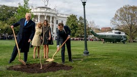 Macron says 'no big drama' after oak tree gifted to Trump dies, will send replacement