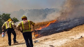 Manure likely cause of Spain wildfire: reports