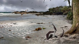 Prehistoric shocker: Baby pterosaurs could fly at birth, study finds