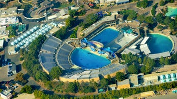 SeaWorld shuts down roller coaster just two weeks after its opening