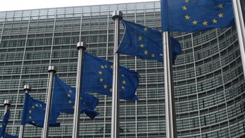 Russia used social media to influence EU citizens' votes, report says