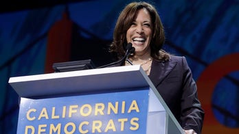 Kamala Harris protester interrupted Bernie Sanders rally in 2016, report says