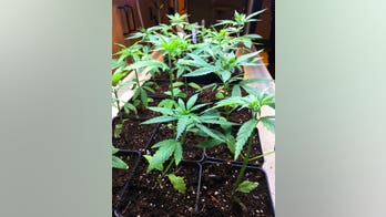 ND addiction counselor launches group to oppose marijuana legalization in the state