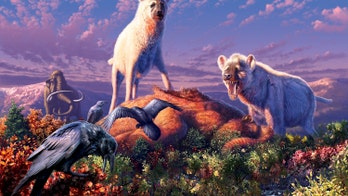 Bone-crushing hyenas lived in Canada's Arctic during the last Ice Age