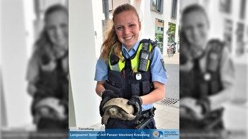 'Sprightly senior' tortoise sparks police rescue in Germany after attempting to cross road