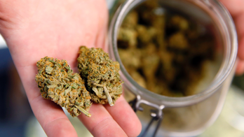 Luke Niforatos: The pot industry's got lots of tricks -- Sens. McConnell, Shelby, please don't fall for them