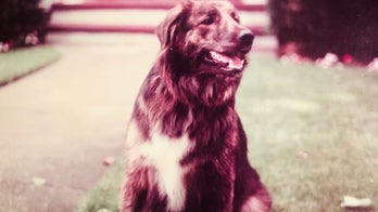 Paul Batura: Every child needs a pet, because every family needs an optimist