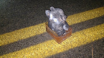 South Carolina ‘terrorist sympathizer’ placed bomb inside teddy bear, FBI says