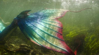 Marine or mermaid? Service member's photo shoot a joke for buddies deployed overseas, he says