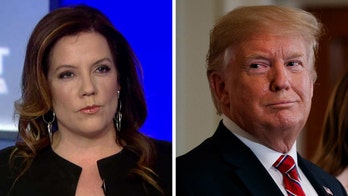 Hemingway says Trump should focus on economic recovery after 'pretty ridiculous' disinfectant controversy