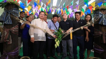 Philippines aims to sell 2.2M pounds of mangoes in June after fruitful harvest: official