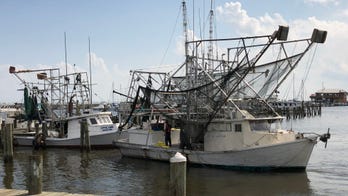 Mississippi Gulf Coast fishermen struggling as flooding disaster wipes out marine life