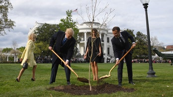 Trump, Macron friendship tree planted at White House has died: report