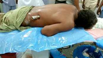 Painter survives being impaled by bamboo spike after falling off ladder