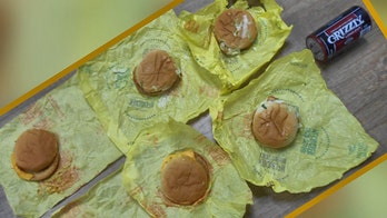 Florida police thwart smuggling of McDonald's burgers and sandwiches, chewing tobacco into jail  