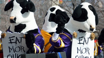 WATCH: Storm winds send Chick-fil-A cow flying through the air