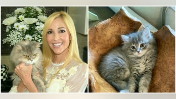 North Carolina couple paid $25G to clone beloved cat