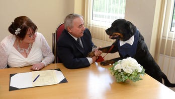 Groom has his pet dog as his best man