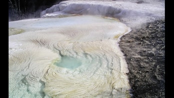 Life on Mars? 'Fettuccine' rocks could be 'obvious sign of life'