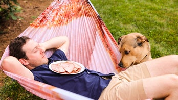 'Ham hammock' debuts for backyard barbecue season