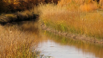 4 bodies recovered from Rio Grande canal near US-Mexico border, police say