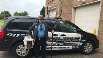 Wisconsin police on 'kangaroo watch' after joey seen hopping across bridge