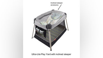 Fisher-Price recalls 71,000 inclined infant sleeper accessories