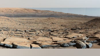 How Martian microbes could survive in the salty puddles of the Red Planet