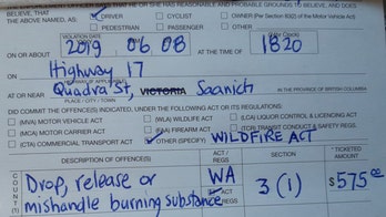 Canadian driver slapped with $430 fine for tossing lit cigarette out his window: 'I didn't want my car to burn'