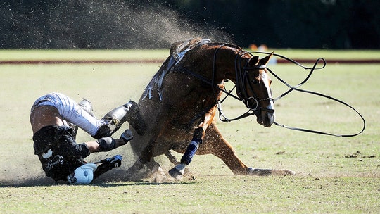 Polo player suffers horrific injury during match: 'He did not move'