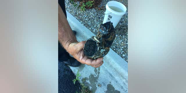 Authorities said a North Carolina beach-goer found this military ordnance at the beach and brought it home to put in their garden.