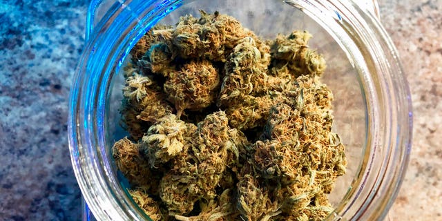 FILE: A jar of medical marijuana sits on the counter at Western Oregon Dispensary in Sherwood, Ore. 