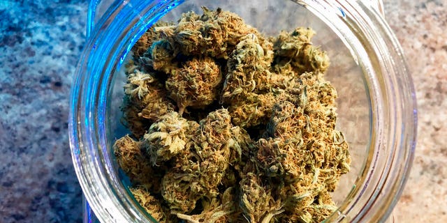 FILE: A jar of medical marijuana sits on the counter at Western Oregon Dispensary in Sherwood, Ore.