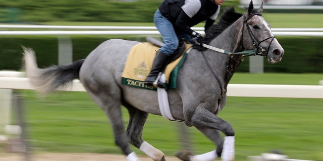 Exercise rider Joe Ramos rides Tacitus during workouts at Belmont Park in Elmont, N.Y., Wednesday, June 5, 2019. The 151st Belmont Stakes horse race is scheduled for Saturday, June 8. (AP Photo/Seth Wenig)